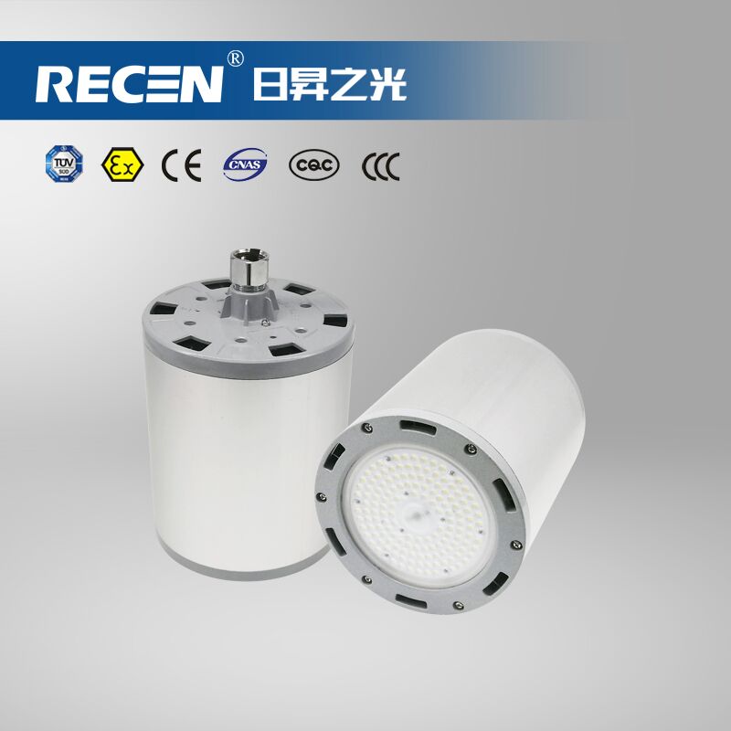 LED站臺(tái)燈  RGDL292