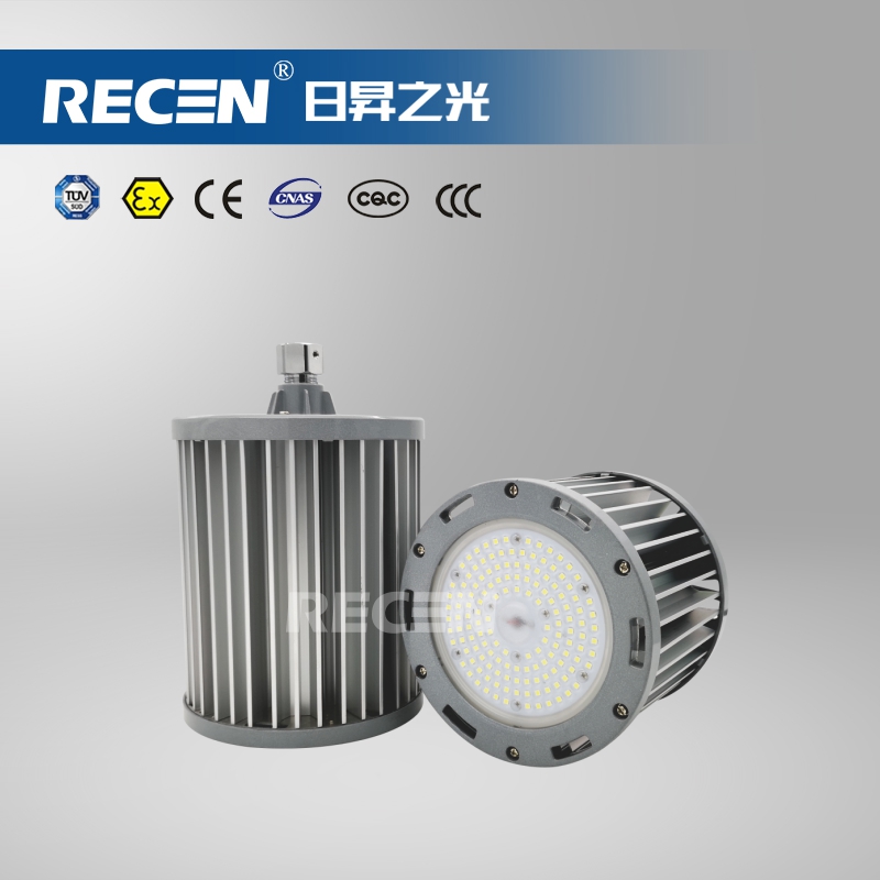 LED站臺(tái)燈  RGDL293