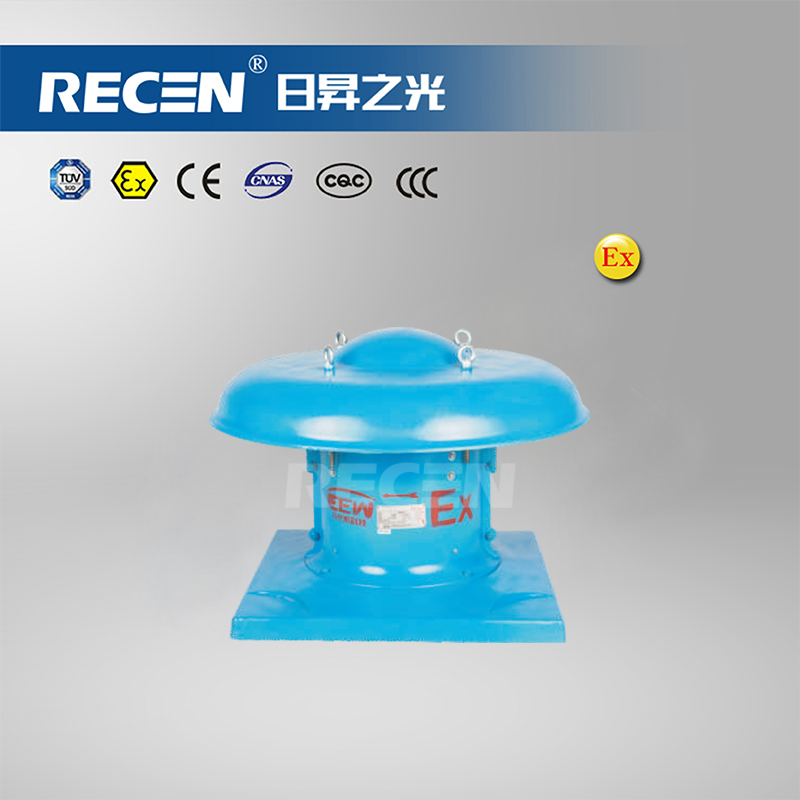 防爆低噪聲屋頂風(fēng)機(jī) BDWT