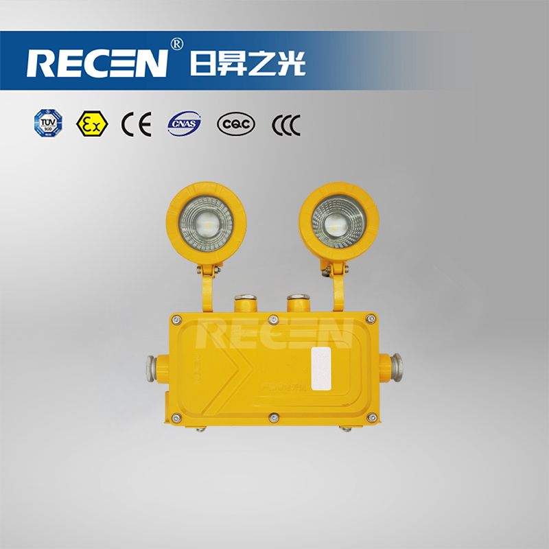 集中電源集中控制型消防應(yīng)急照明燈具 RFBJ10