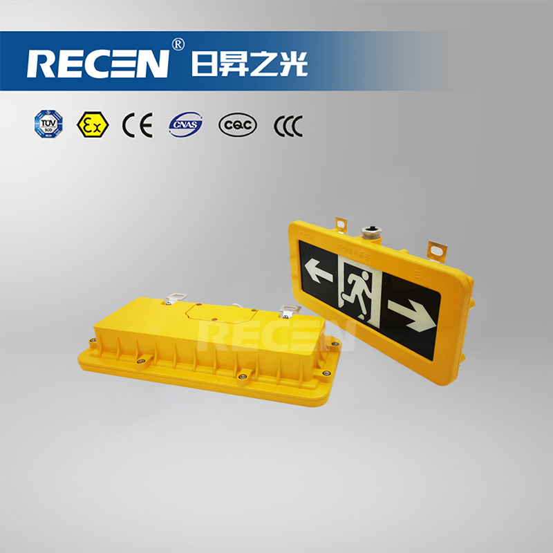 集中電源集中控制型消防應(yīng)急標(biāo)志燈具  RFBY12