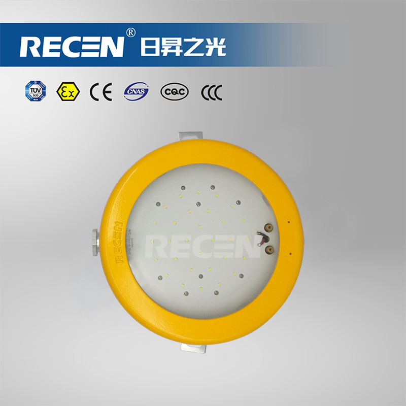 集中電源集中控制型消防應(yīng)急照明燈具 RFBX10