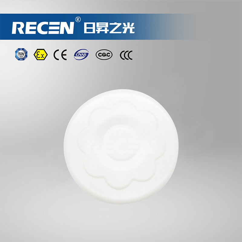 集中電源集中控制型消防應(yīng)急照明燈具 RXFX01