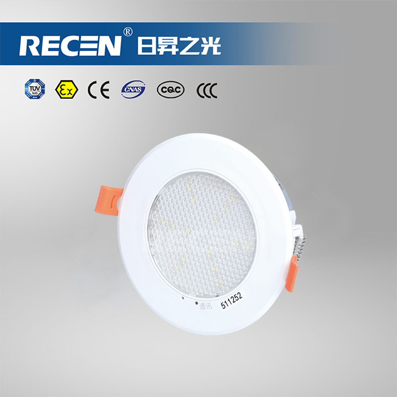 集中電源集中控制型消防應(yīng)急照明燈具 RXFS01